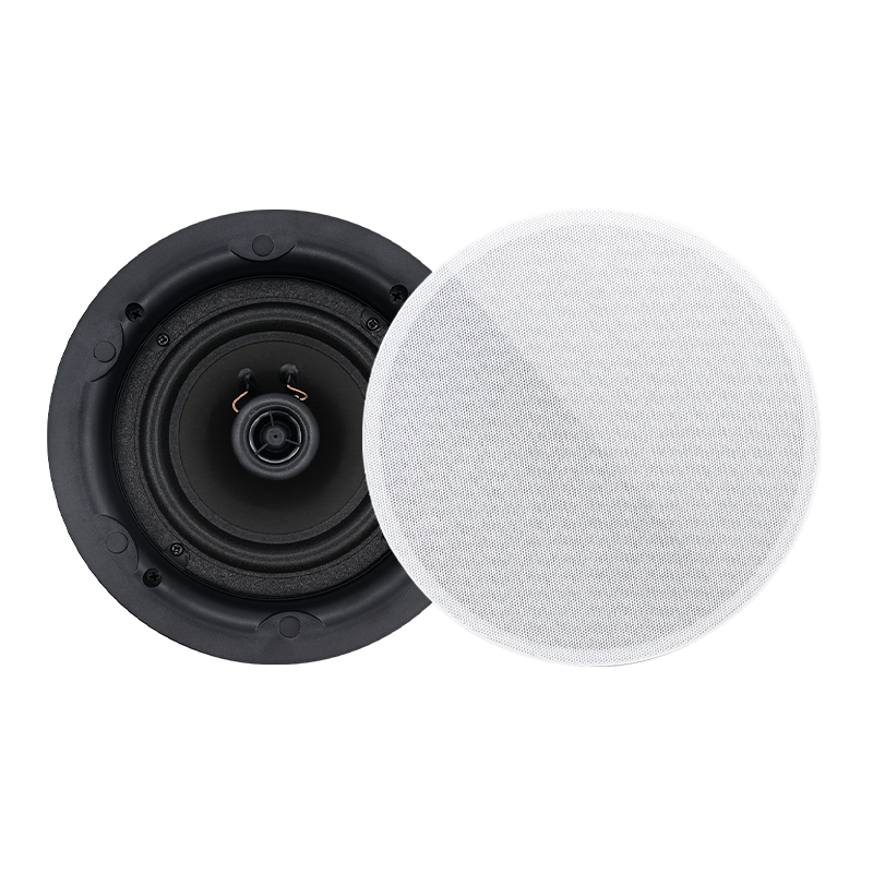 Speaker Langit-langit 5.25 Inc - Audio Music Background ulasan dan harga